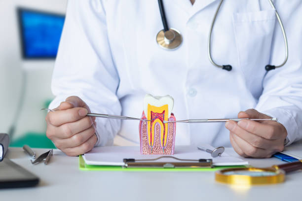 Best Emergency Dental Care for Broken or Chipped Teeth in Darien, WI